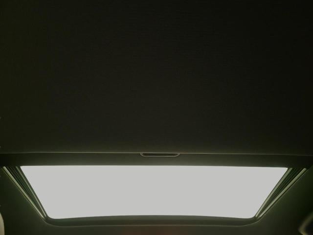 2023 Dodge Charger Scat Pack Widebody